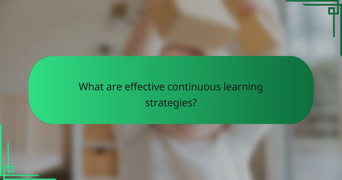What are effective continuous learning strategies?