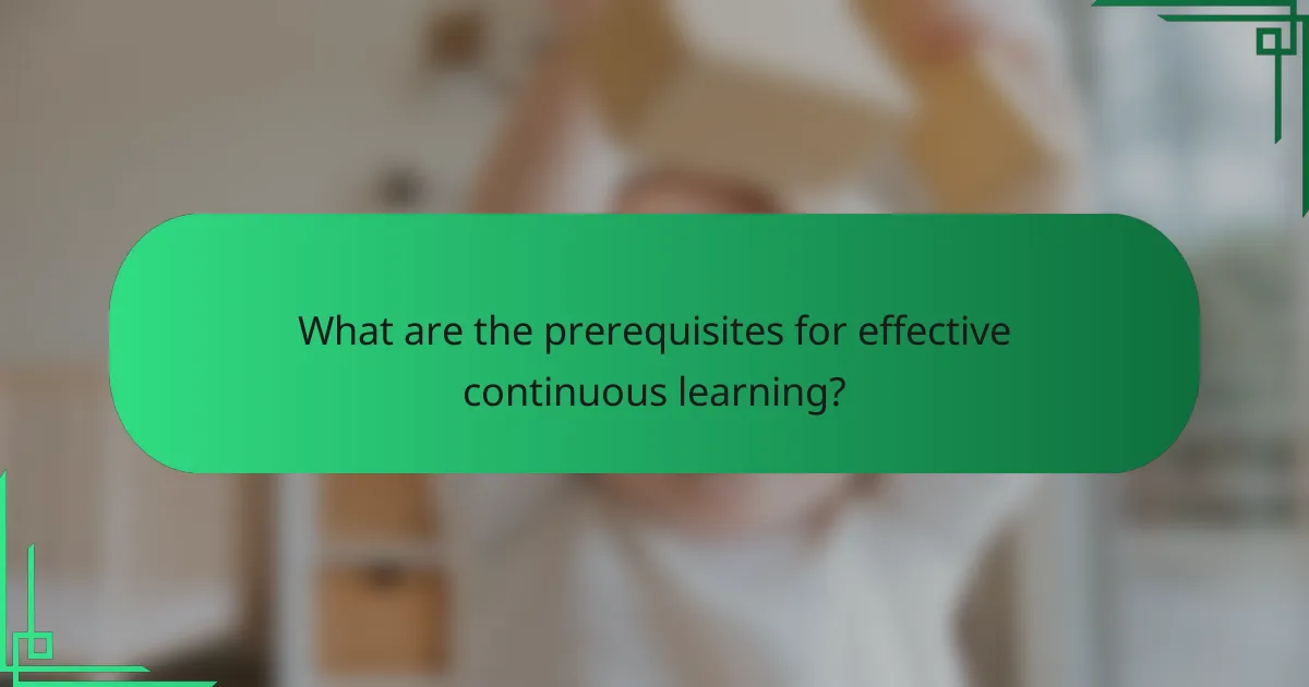 What are the prerequisites for effective continuous learning?